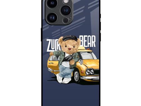 Adventurous Bear Glass Case for iPhone 14 Pro Max For Discount